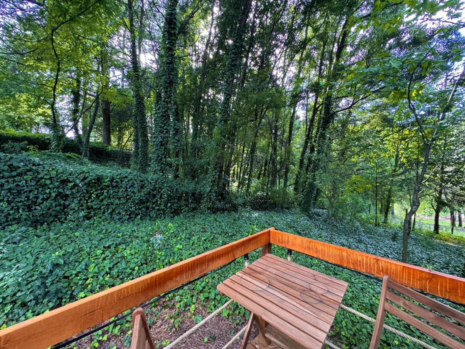 Glicinia Boutique Hotel Freamunde Exteriör bild